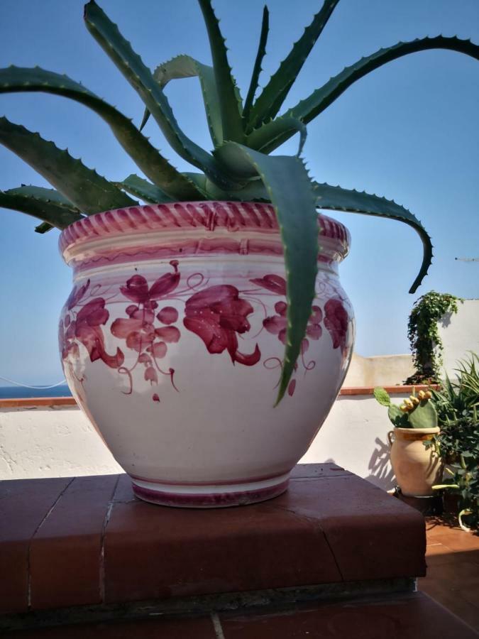 Ziella Bed & Breakfast Portopalo Di Capo Passero