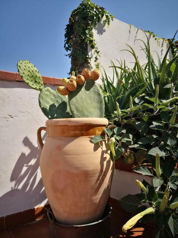 Bed & Breakfast Ziella